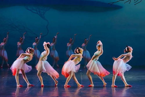 大年初一，舞劇《朱鹮》杭州站唯美鉅獻，開啟新春文藝盛宴